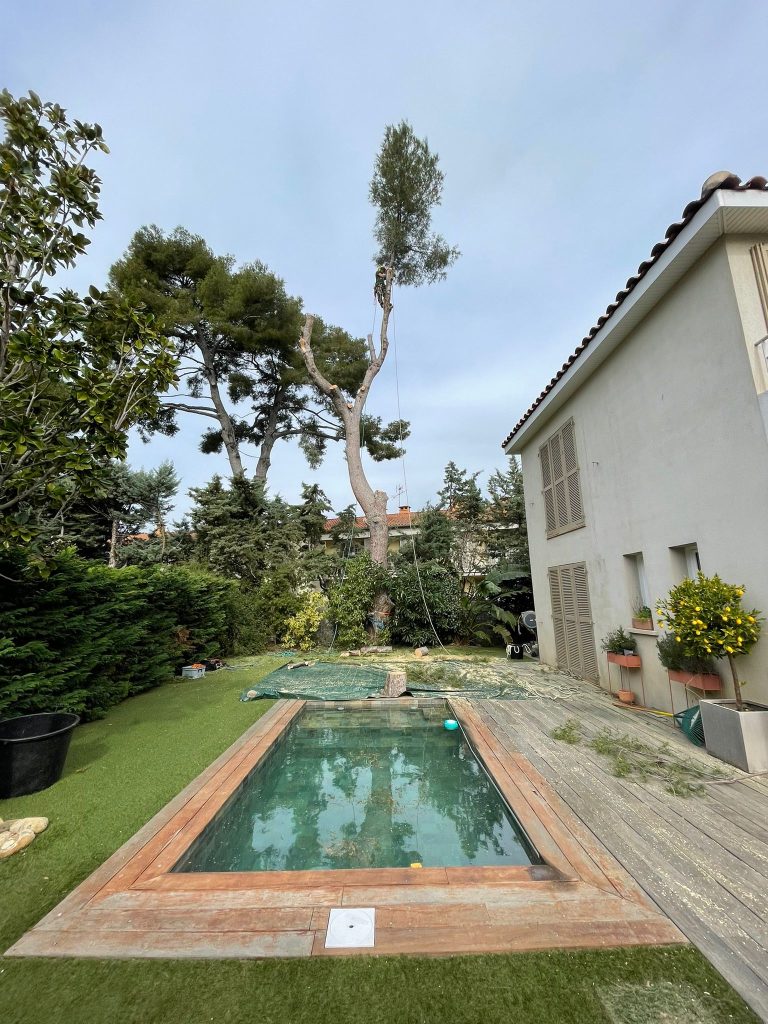 Abattage d'arbre à Saint Barnabé dans le 12ème arrondissements ed Marseille