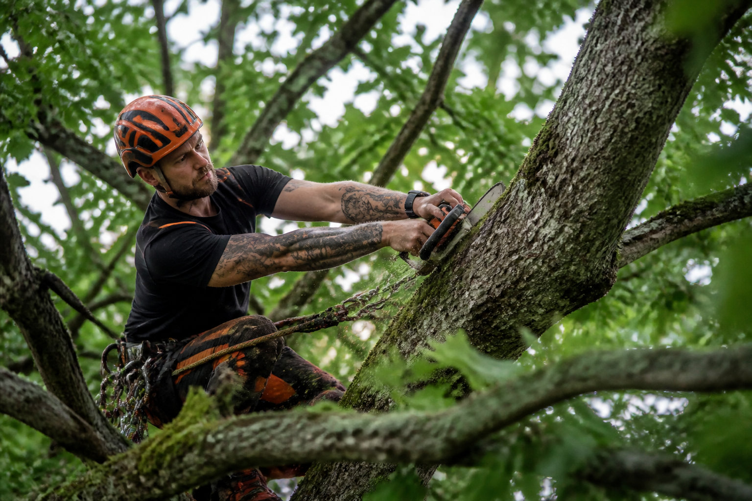 Pourquoi élaguer ses arbres
Faire appel à un professionnel pour les travaux complexes