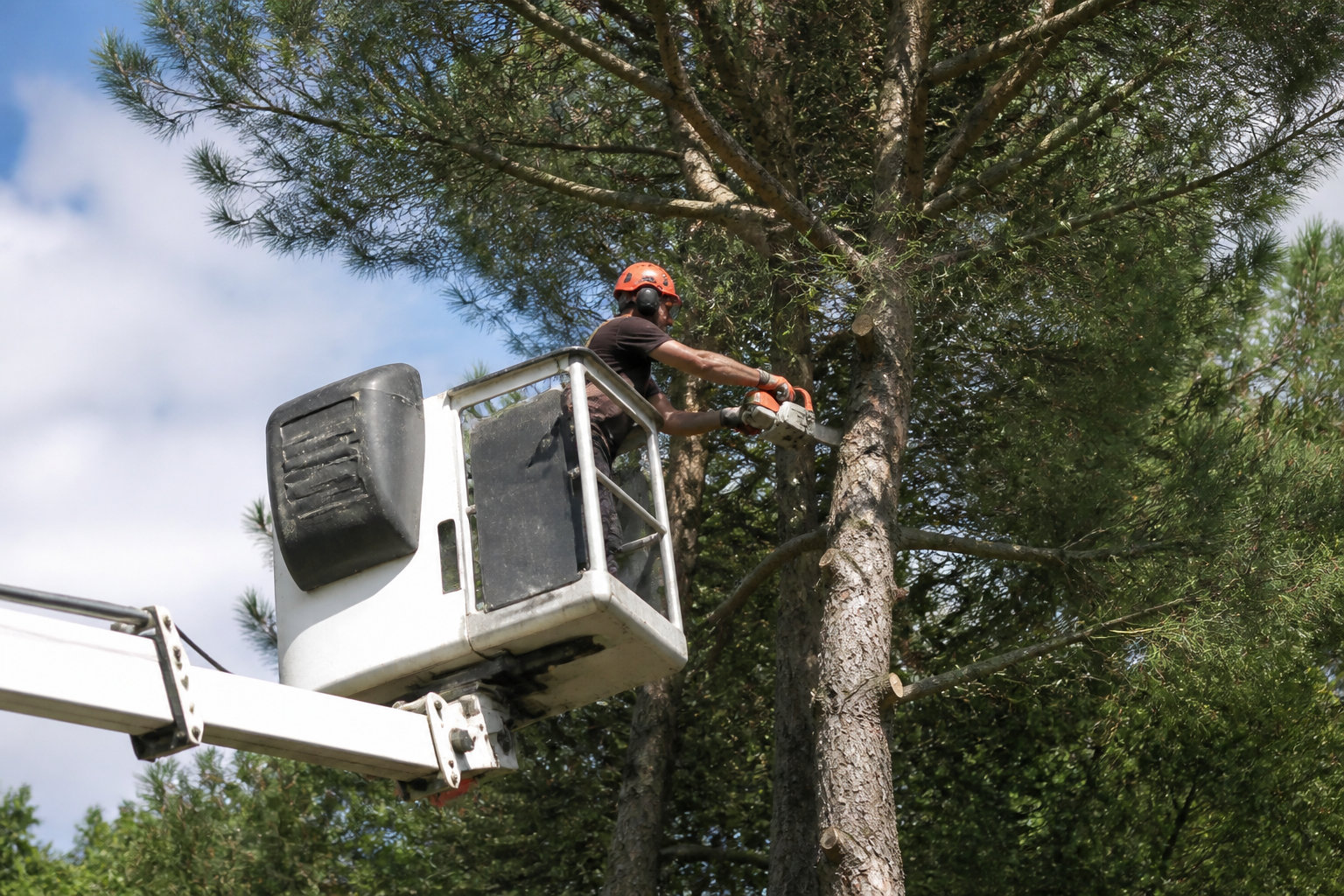 Limitations techniques et exclusions de garantie courantes