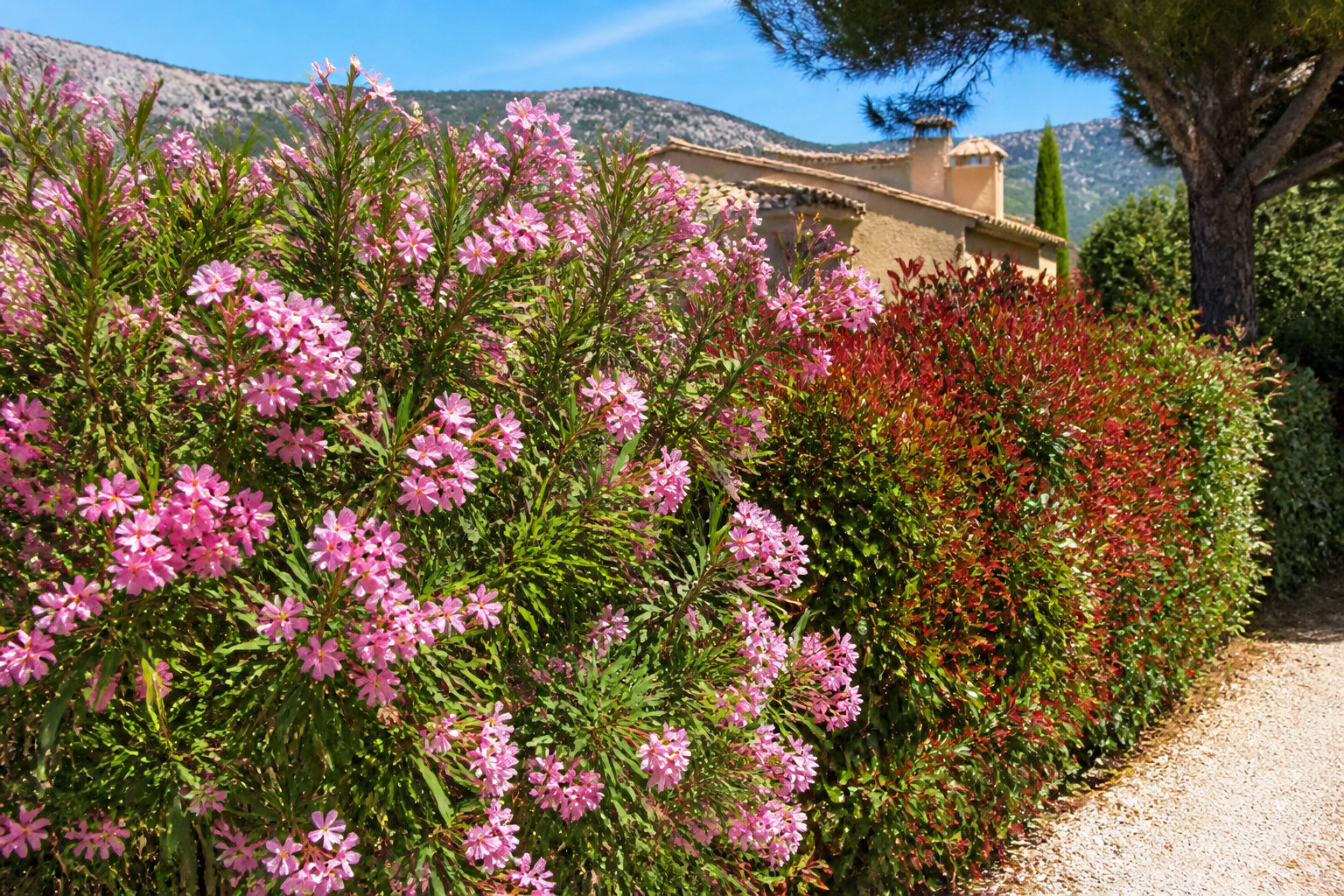 Calendrier provençal et obligations incendie