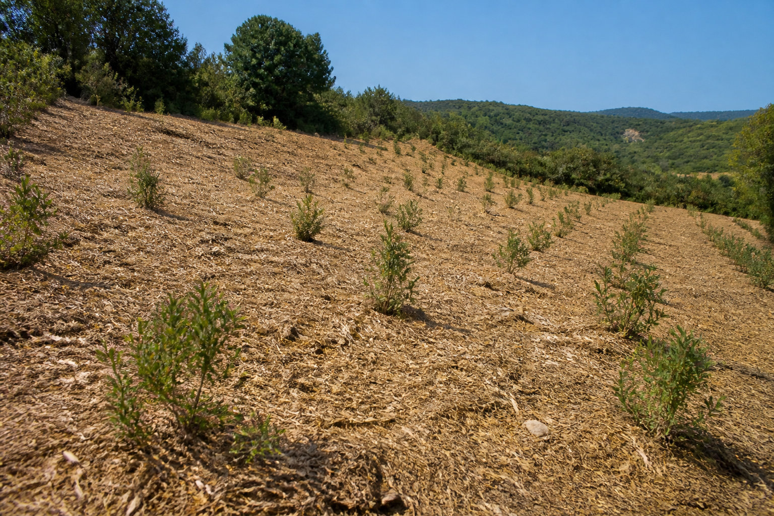 Valoriser votre patrimoine foncier tout en protégeant la biodiversité
