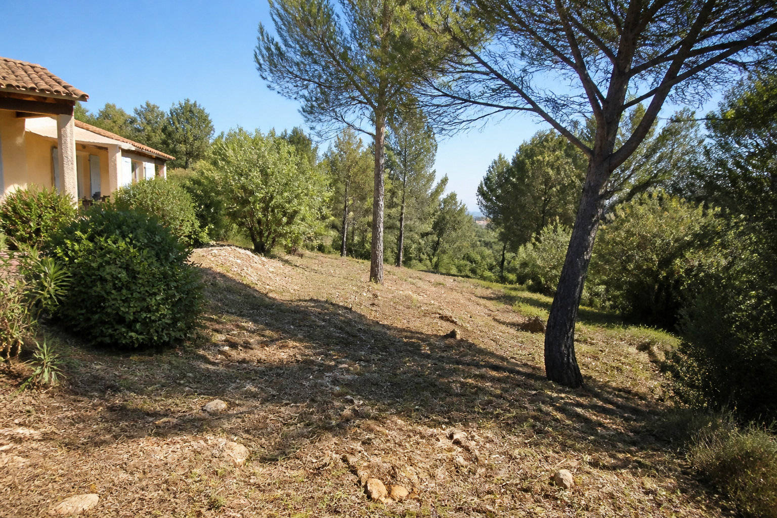 Réglementation et obligations de débroussaillage à Marseille