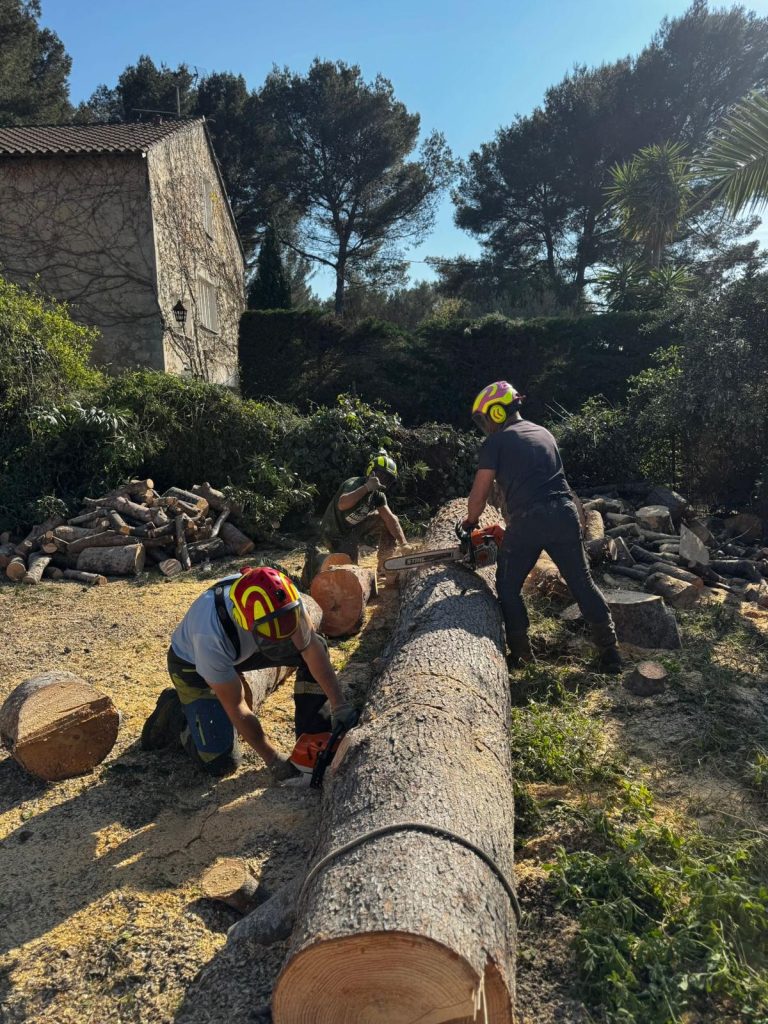 Après — Abattage Saint-Barnabé