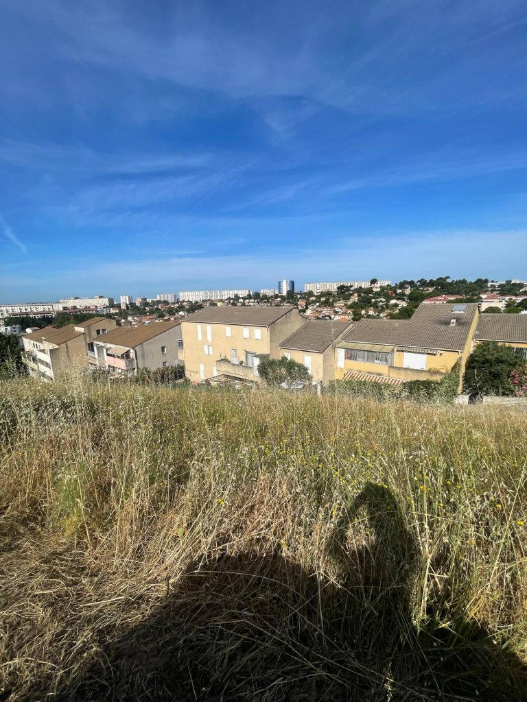 Avant — Débroussaillage Saint-Jérôme