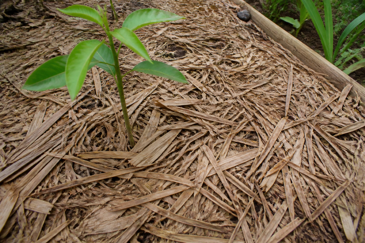 Gestion des déchets verts et prestations de jardinage associées