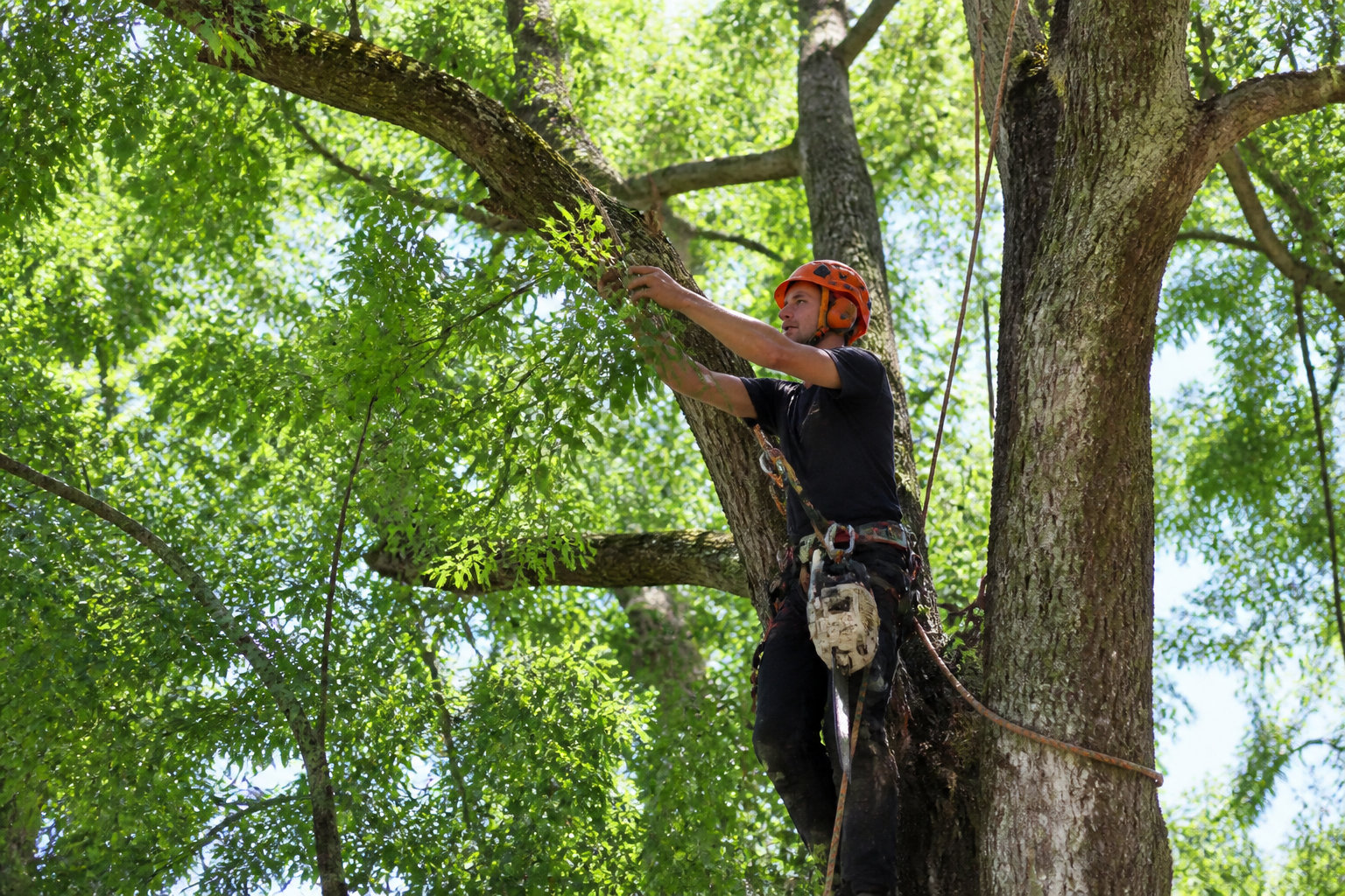 Aménagements intérieurs pour démultiplier la clarté naturelle
