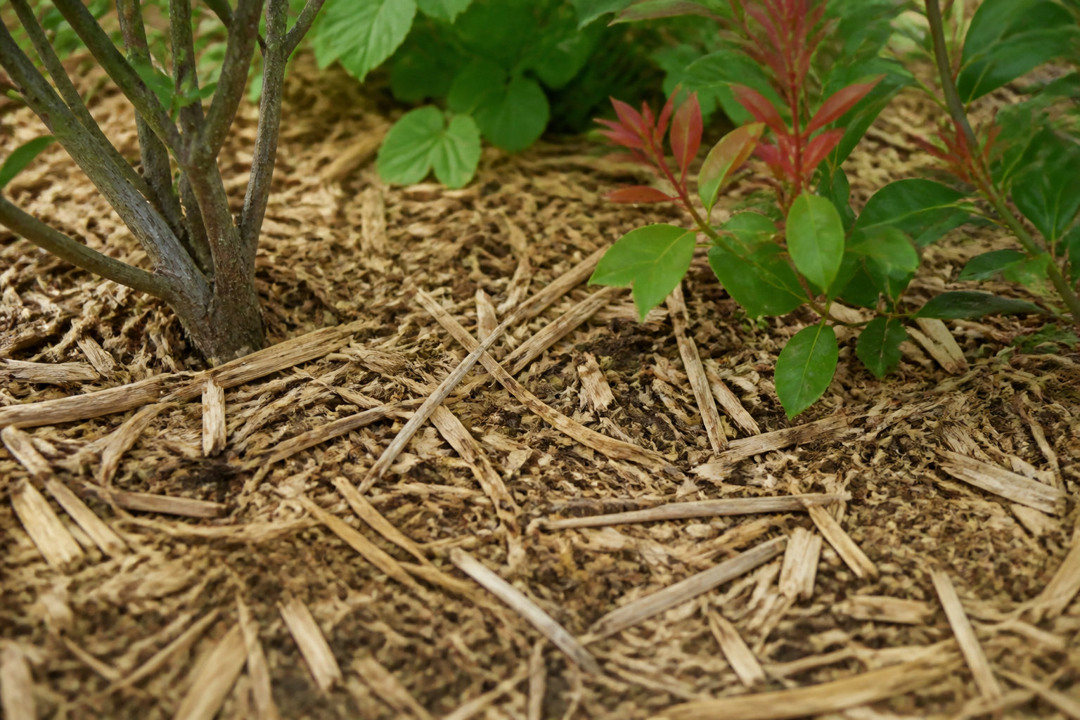 3 solutions pour recycler les résidus dans votre jardin