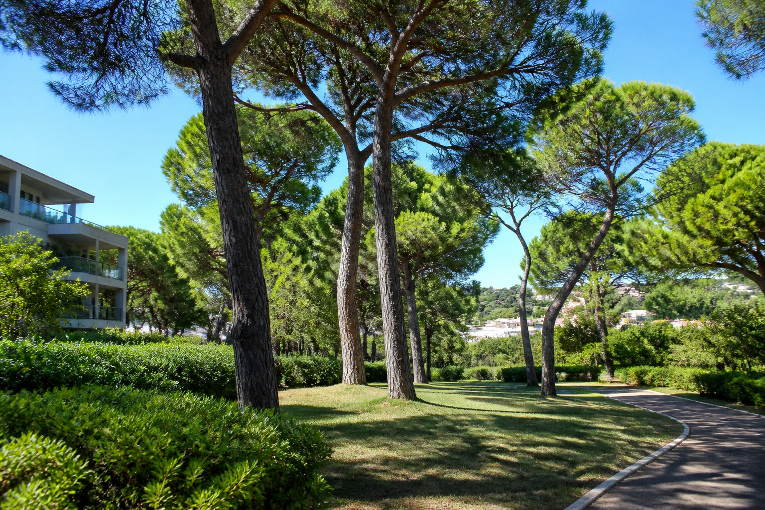 Définition et enjeux du plan de gestion des arbres