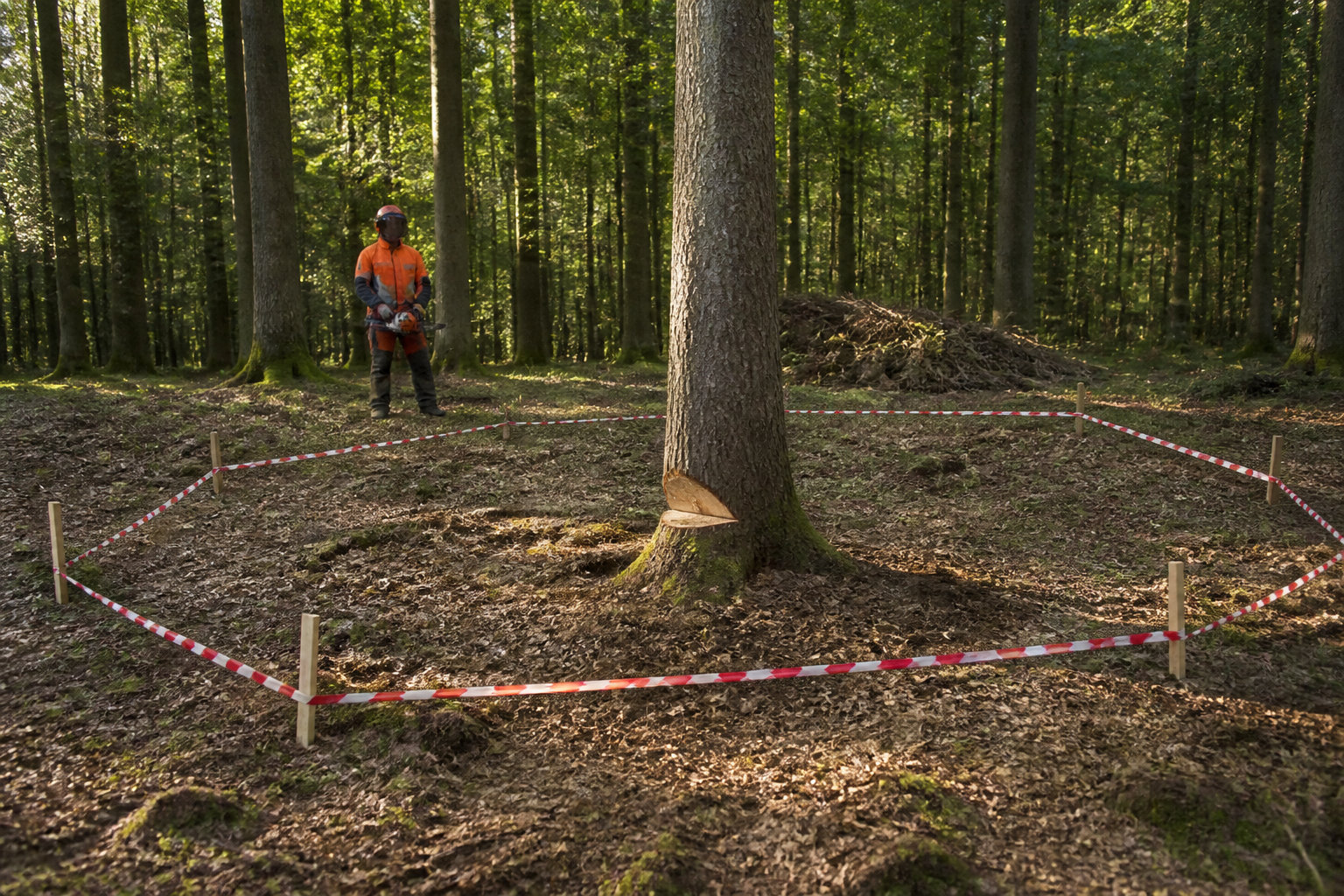 Démarches obligatoires et protocoles de sécurité
