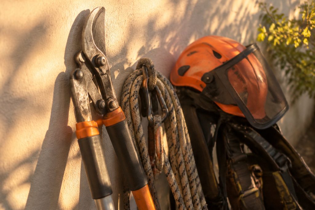 Matériel d'élagage comprenant un sécateur, une corde et un casque de sécurité orange posés contre un mur.