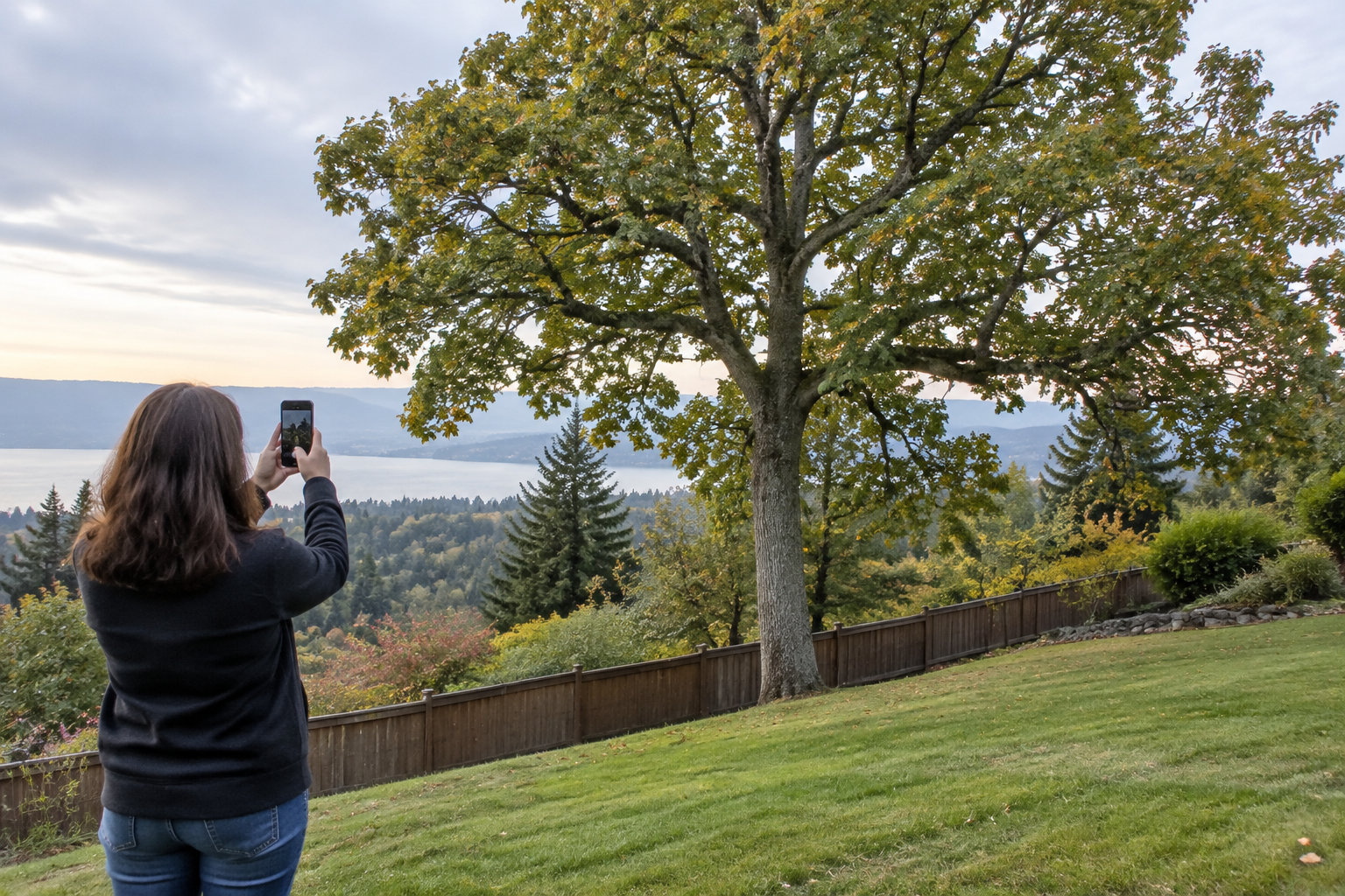 Une personne photographie avec son téléphone un grand arbre dans un jardin en pente, avec un lac et des collines à l’arrière-plan.